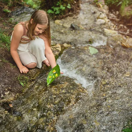 شاليه Luxury Gradenbach Near Schladming