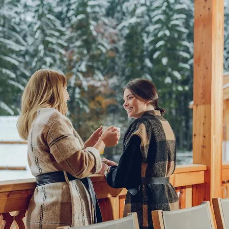 Luxury Gradenbach Near Schladming Chalet Haus im Ennstal