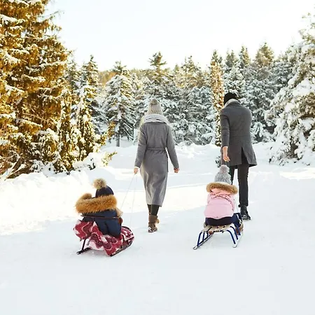 شاليه Luxury Gradenbach Near Schladming