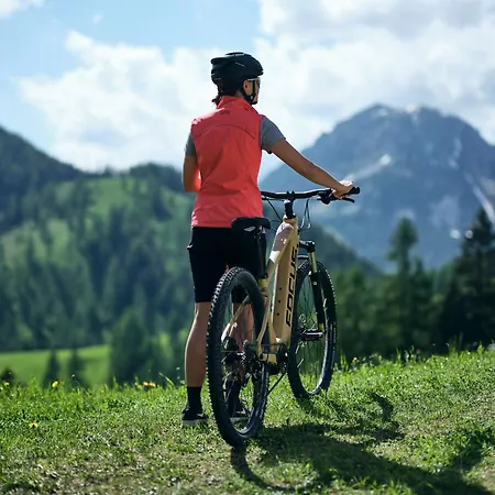 Luxury Gradenbach Near Schladming