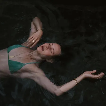 Luxury Gradenbach Near Schladming شاليه *