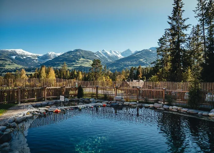 Luxury Gradenbach Near Schladming Chalet