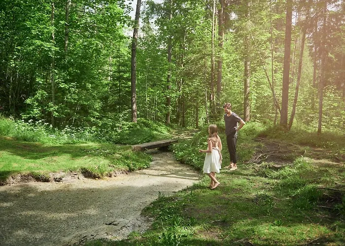 شاليه Luxury Gradenbach Near Schladming هاوس إم إنيستال