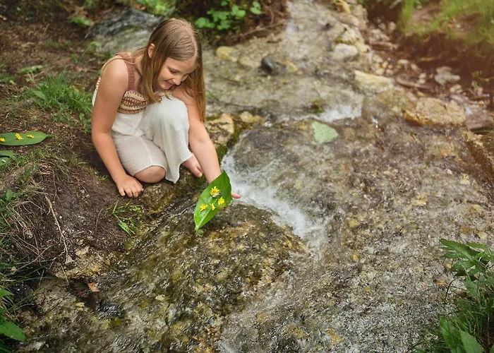 شاليه Luxury Gradenbach Near Schladming